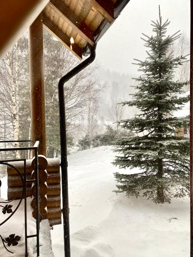 Chalet Four Seasons Βίλα Tatariv Εξωτερικό φωτογραφία