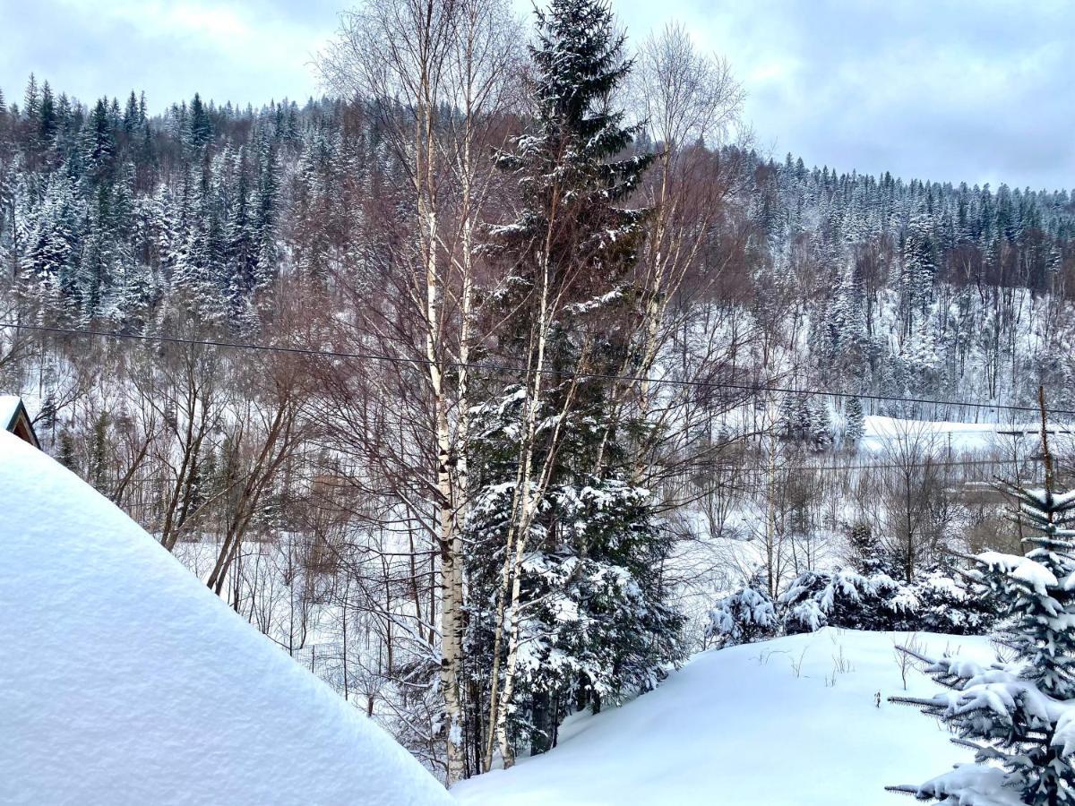 Chalet Four Seasons Βίλα Tatariv Εξωτερικό φωτογραφία