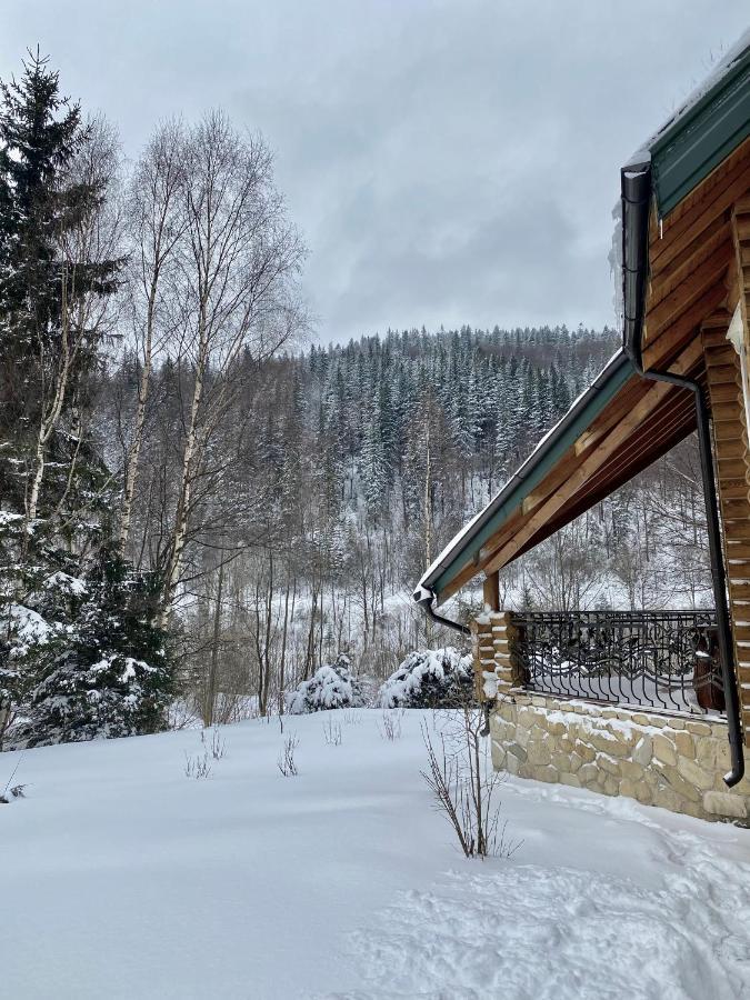 Chalet Four Seasons Βίλα Tatariv Εξωτερικό φωτογραφία