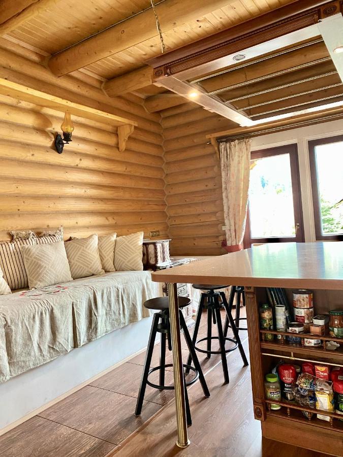 Chalet Four Seasons Βίλα Tatariv Εξωτερικό φωτογραφία