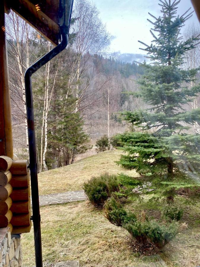 Chalet Four Seasons Βίλα Tatariv Εξωτερικό φωτογραφία